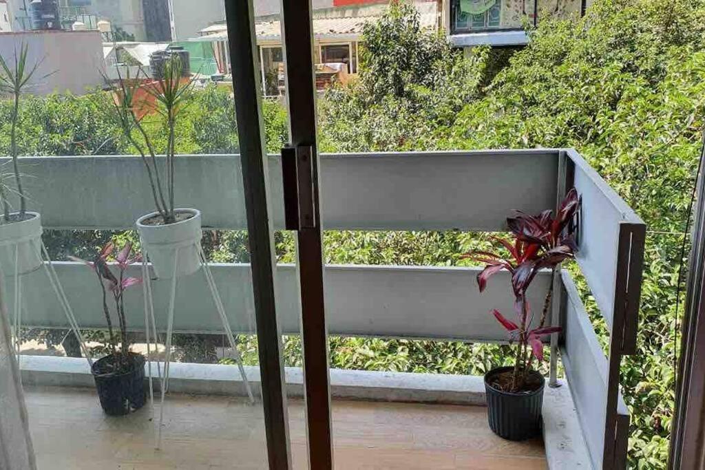 Cozy Apartment In Condesa'S Heart ! México DF Exterior foto
